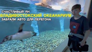 [4К] Какой океанариум во Владивостоке / Получили авто для перегона в Новосибирск / Счастливый Ян