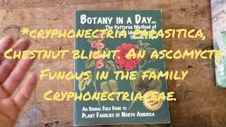 (#126) Tony Santoro's Botany Crash Course