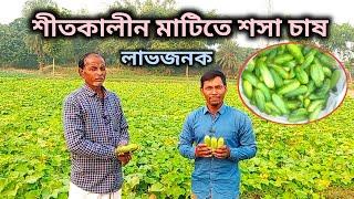 শীতকালীন লাভজনক মাটিতে শসা চাষ || Winter Cucumber Farming @unnatakrishibangla