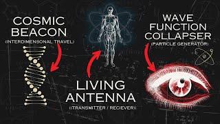 You Are a Living Antenna