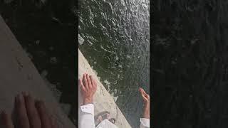 Machhali ka Talab Machhali Dekhen #good #beautiful Abbasisitar