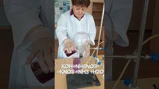 Փորձ4《Գունավոր շատրվան ամոնիակով》#chemistry #химия #քիմիա #