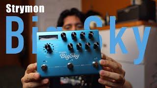 I Finallt Got It!! Strymon Big Sky Demo/Playthrough | Pedalboard Walkthrough