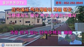 [울산부동산TV] 울산 북구 송정지구 가장 인기 있는 위치의 단독주택지 매매 소식입니다.