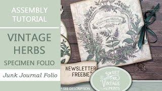 Vintage Herbs Specimen Folio Tutorial | Junk Journal Printables from Sweet Vintage Prints