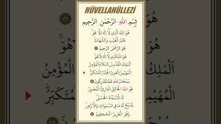 Hüvellahüllezi
