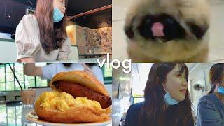 Daily Vlog: Eating & Baking朋友一日游 / 锅巴 