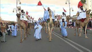 Paradas de camelos e dança tradicional: Carnaval de Tan-Tan celebra diversidade cultural marroquina