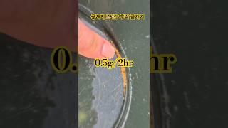 공개사금지에도 사금은 넘쳐난다 #사금 #사금채취 #goldpanning