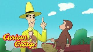 George The Farmer  Curious George Kids Cartoon  Kids Movies Videos for Kids