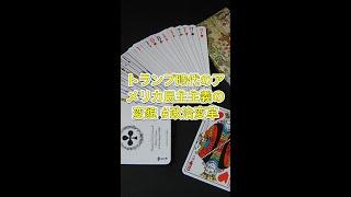 トランプ時代のアメリカ民主主義の変貌 #政治変革