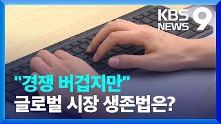 ‘메이드인코리아’ AI, 글로벌 시장 생존 조건은? [9시 뉴스] / KBS  2024.09.03.