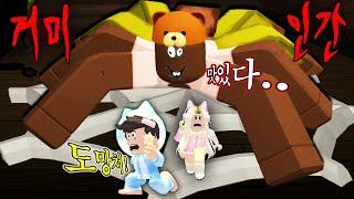 [로블록스]바보 거미가 되어버린 김리하에게.. [잡아먹혀요!!] (잉여맨 댕댕이 단미호 김리하)