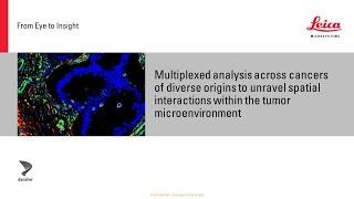 A meta-cancer analysis of the tumor spatial microenvironment