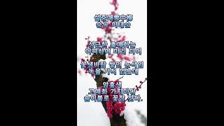 설중매 - 시조#Shorts