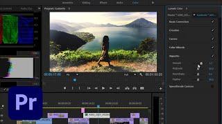 Coming to Adobe Premiere Pro - The new Lumetri Color panel | Adobe Creative Cloud