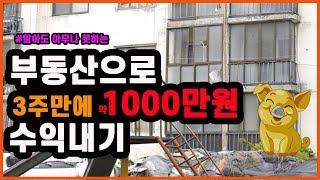 부동산으로 3주만에  1000만원 버는 방법