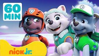 Patrulha Canina | Resgates de Animais Selvagens com Zuma, Everest e Rocky! | 60 Minutos | Nick Jr.