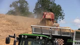 Motorschaden  Getreideernte mit Folgen | Laverda 3550 AL | Weizenernte | wheat harvest