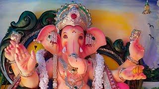 गणपती बाप्पा मोरया Ganpati Celebration 2022 @malvanimoodies6877