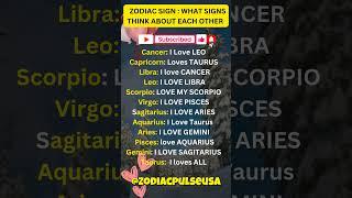 What the zodiac Thinks about each other #shorts #shortvideo