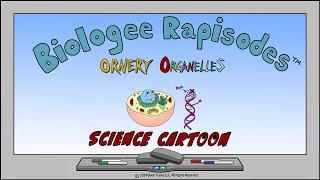 Meet The Ornery Organelles | Animated Science Cartoon |