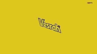 Vesrah Motorcycle High Performance Ceramic Brake Pads