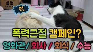 강아지 고양이와함께하는 극장 에티켓/연말/직장생활/수능 캠페인 (Campaign with dogs and cats)