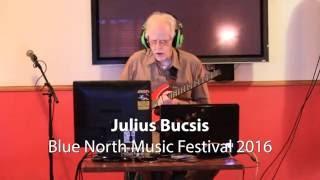 Julius Bucsis in Blue North Music Festival (1)