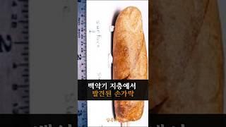 백악기 지층에서 발견된 손가락 화석 #초고대문명 #미스터리