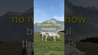 Close the window that hurts you #mentalhealth #motivation