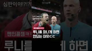 루니를 화나게 하면 안되는 이유ㄷㄷ