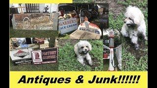 World's Longest Yard Sale, Muppy Gets A Bath