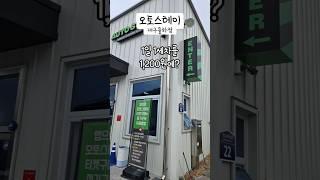 1일1세차를 1,200원에 노터치 자동세차 오토스테이 대구율하점
