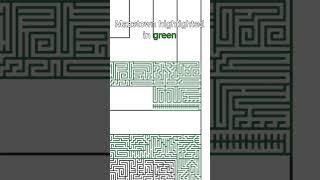 Subways Station #maze #drawing #consistency #illustrator
