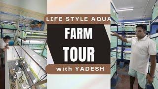 India's Biggest Arowana FARM TOUR | Life Style Aqua - Bangalore | Farm Tour #ArowanaFish