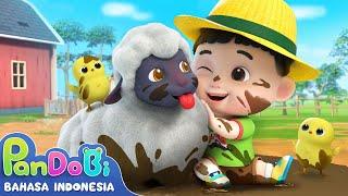 Aku Suka Bermain Bersama Domba Kecil | Lagu Hewan Anak | Lagu Anak | Super Pandobi Bahasa Indonesia