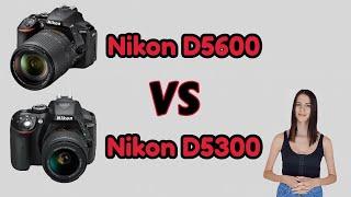 Nikon D5600 vs Nikon D5300 Comparison (Specification Only)