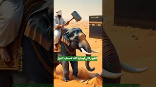 الطيور التي ارسلها الله لاصحاب الفيل #shorts