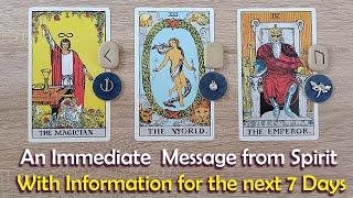 An immediate message from Spirit with information for the next 7 days #pickacardtarot