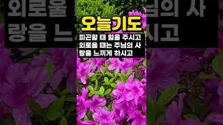 오늘의 기도 / 오늘을 위한 기도 / 주님의 은혜로 맞이하는 오늘의 기도
