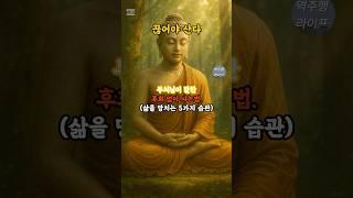 부처님 말씀ㅣ후회 없는 삶의 조건ㅣ불교 철학과 습관 다스림ㅣ마음 내려놓는 연습ㅣ지금 이 순간에 머무는 법ㅣ고요한 지혜와 멈춤의 힘ㅣ불교 힐링 오디오북ㅣ지혜로운 삶을 위한 실천