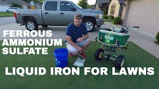 Liquid Iron for Lawns | Ferrous Ammonium Sulfate