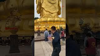 南无阿弥陀佛Ná mó ēmítuófó  Gautam Buddha  Mahatma Buddha  namo Amitabha Buddha  {{{FizaRay}}}