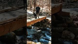 Relax with Mojo #inthewoods  #vermont #dog #dogs #doglover #love #cute #adorable #puppy #seniordog