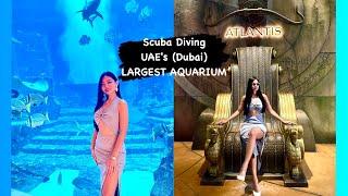 Largest Aquarium (Scuba Diving): Dubai