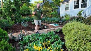 Blooms, Boxwoods, and Bullies