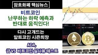 8/26) 비트코인 난무하는 하락예측과 반대로! 움직인다! 다시 고개드는 알트코인 시장 이론, 금VS 비트코인 실사용 테스트, ADA,  등