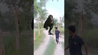Big Dinosaur chase T-Rex attack part 203 #trending #dinosaur #vfx #youtube #shorts