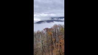 Beautiful Blue Ridge Mountains #Shorts